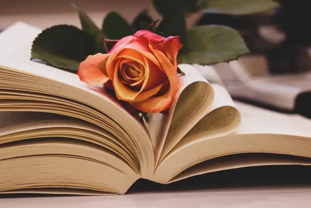 popup image